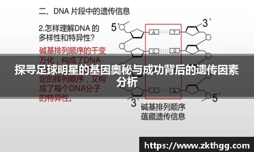 探寻足球明星的基因奥秘与成功背后的遗传因素分析